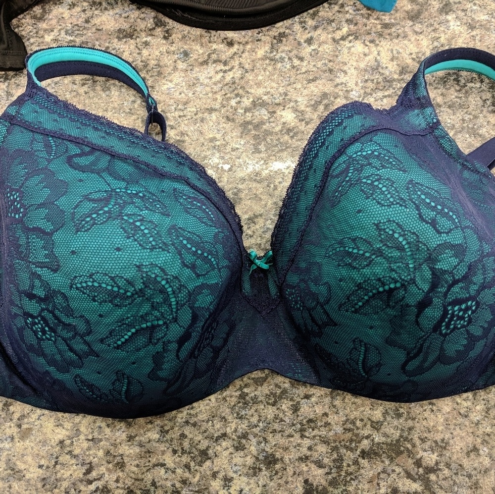 Lane Bryant bra